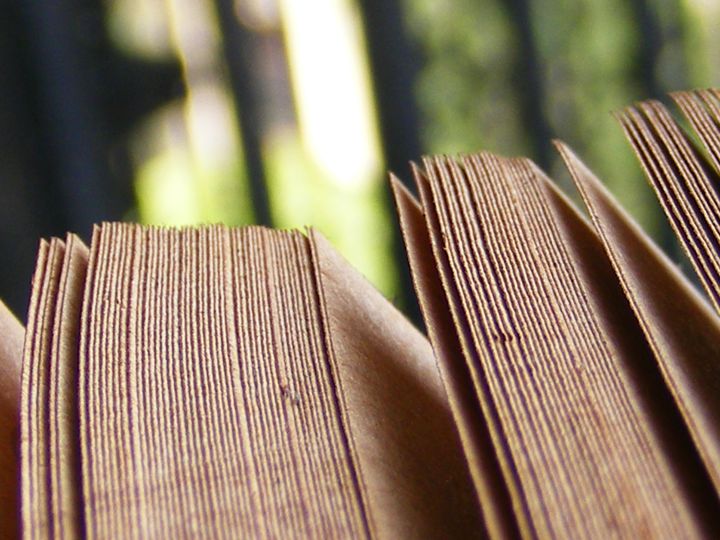 biblioteca 096 copy.jpg